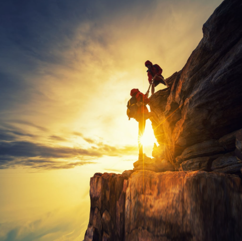 Collaborative Partnership & Growth